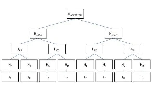 Ethereum Interview Questions - Part 1 1 Binary Merkle tree