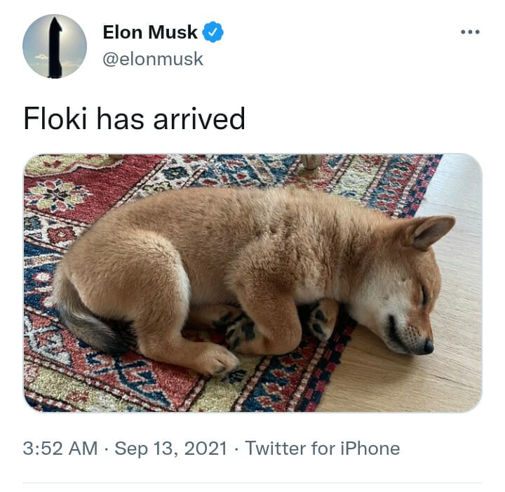 Where and How to buy Floki Inu Token? | Floki Inu Price Prediction 2 Tweet for Floki Inu
