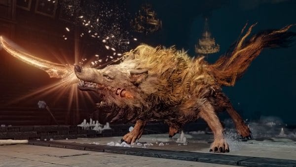 All Main Bosses in Elden Ring | Fight NOW! 5 Red Wolf of Radagon