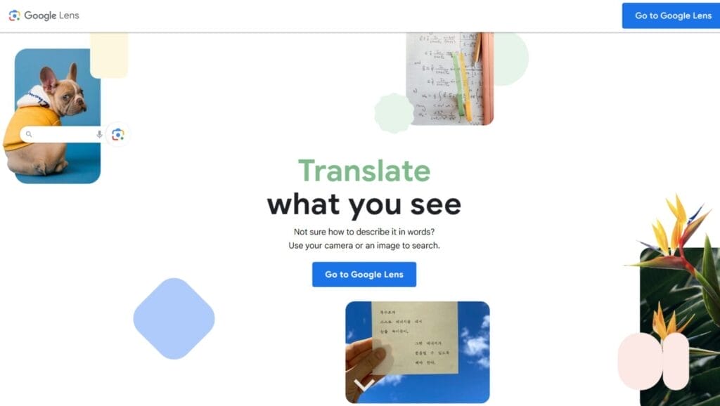 8 Best PimEyes Alternatives & Competitors