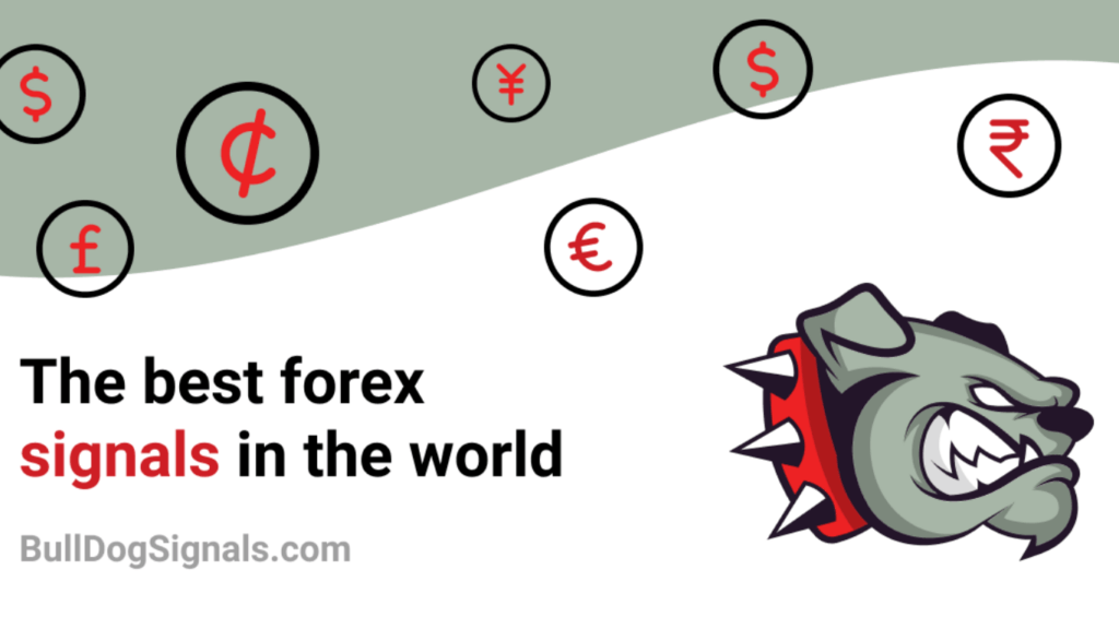 Top 10 Forex Trading Signal Channels on Telegram
