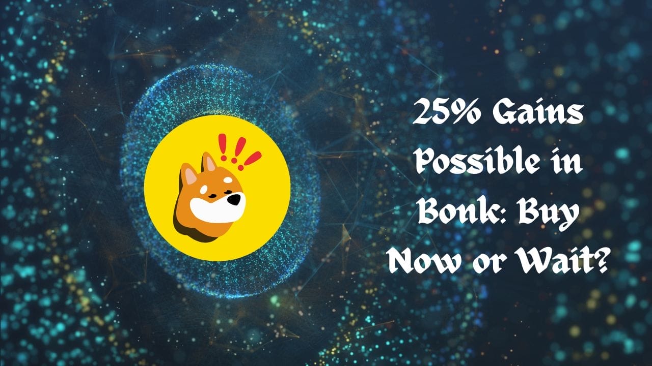 Crypto News 40 25% Gains Possible in Bonk: Buy Now or Wait?
